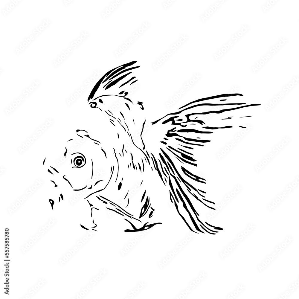 black and white drawing sketch of a fish with a transparent background black and white drawing sketch of a fish with a transparent background