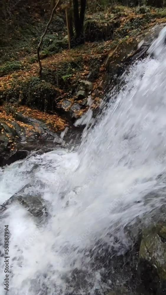 Waterfall in the forest in autumn, vertical real time. Waterfall in the forest in autumn, vertical real time.
