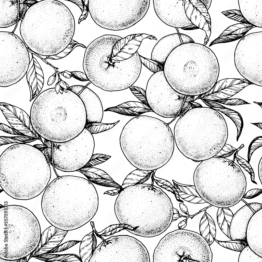 Orange Fruit Hand Drawn Design Seamless Pattern Vector Illustration