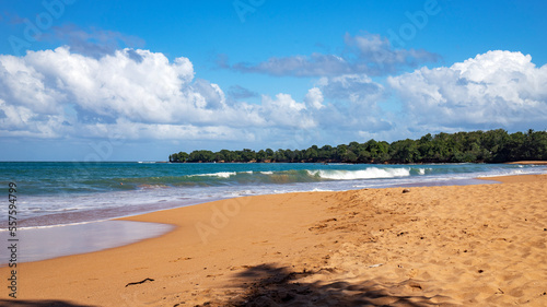Fototapeta Naklejka Na Ścianę i Meble -  guadeloupe island caribbean beach and sun in atlantic ocean