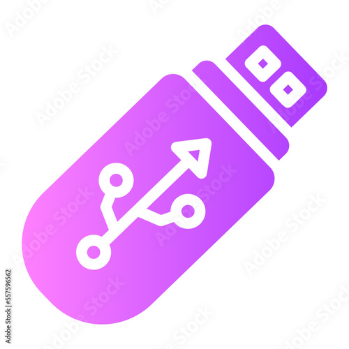 flash disk