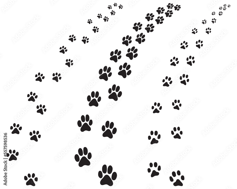 Black footprints of dogs, turning right or left, illustration on a white background Black footprints of dogs, turning right or left, illustration on a white background