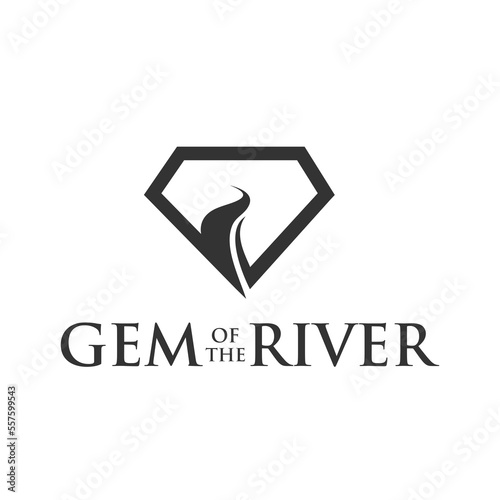 Diamond river logo design vector illustration on white background