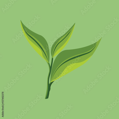 tea leaves green flat color design