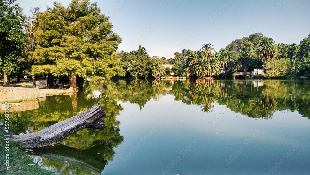 Lake with palm trees, island with vegetation, blue sky