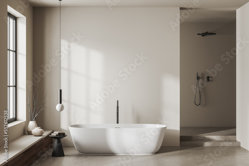 Tela Front view on bright bathroom interior with large bathtub, shower