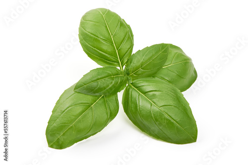 Basil leaves, isolated on white background.