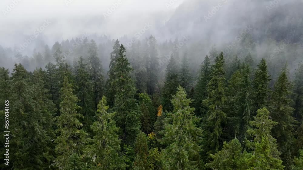 Flying over a fog covered forest in Oregon