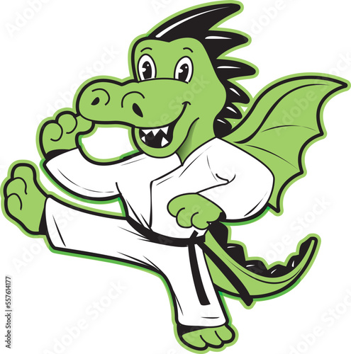 Martial Arts Karate character mascot logo design Dragon monkey lion tiger fox panda ninja kung fu  