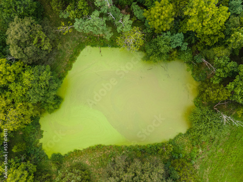 Kentucky Pond