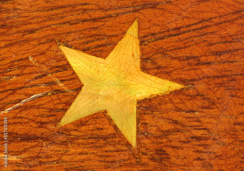 Marquetry yellow star made from yellow mother of pearl inlay.