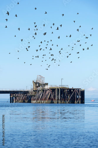 Old derelict wooden jetty pier in sea at Inverkip power station photo