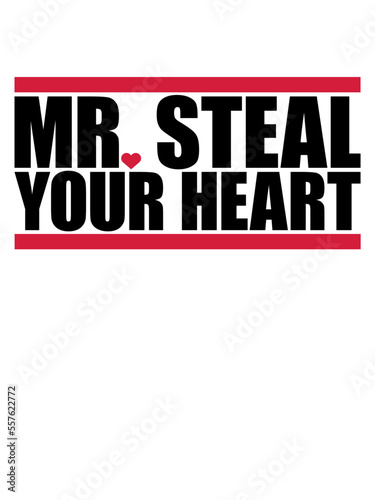 mr steal your heart 