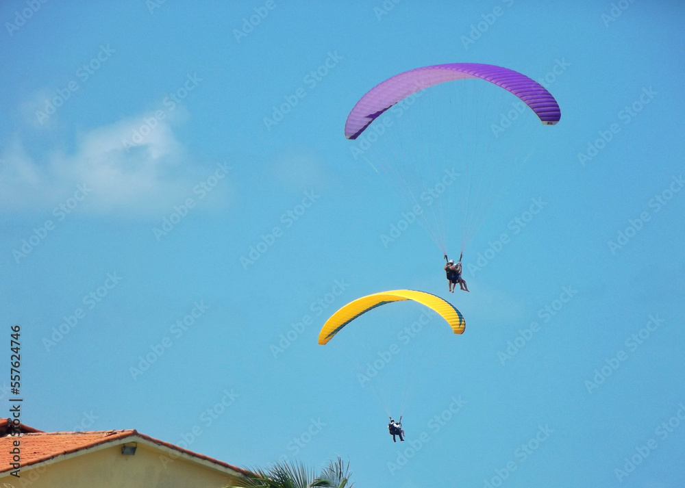two colorful paragliders gliding over houses under a blue sky two colorful paragliders gliding over houses under a blue sky
