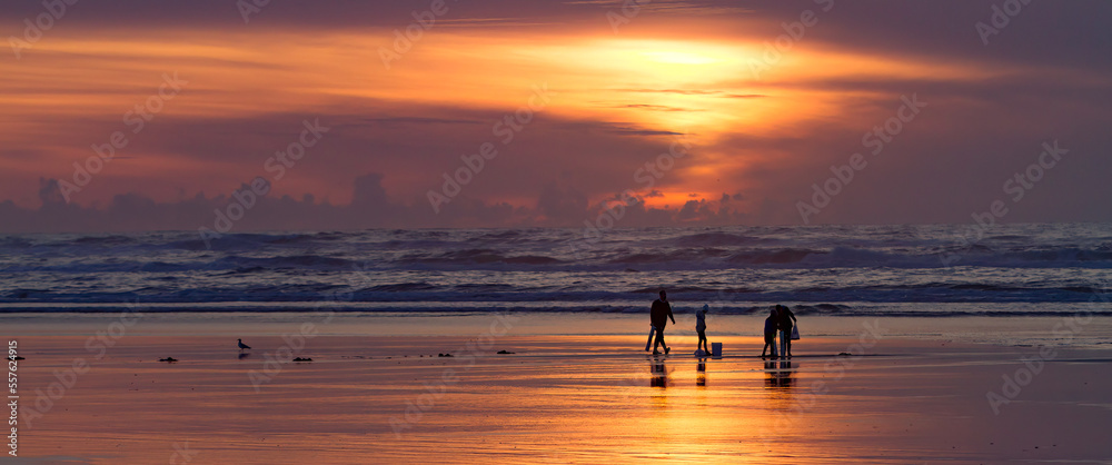 People digging Razor clams at sunrise, Long Beach, Washington