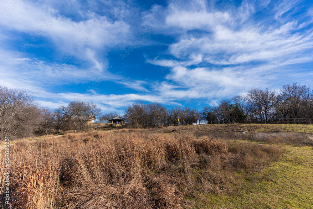 landscape with trees and clouds