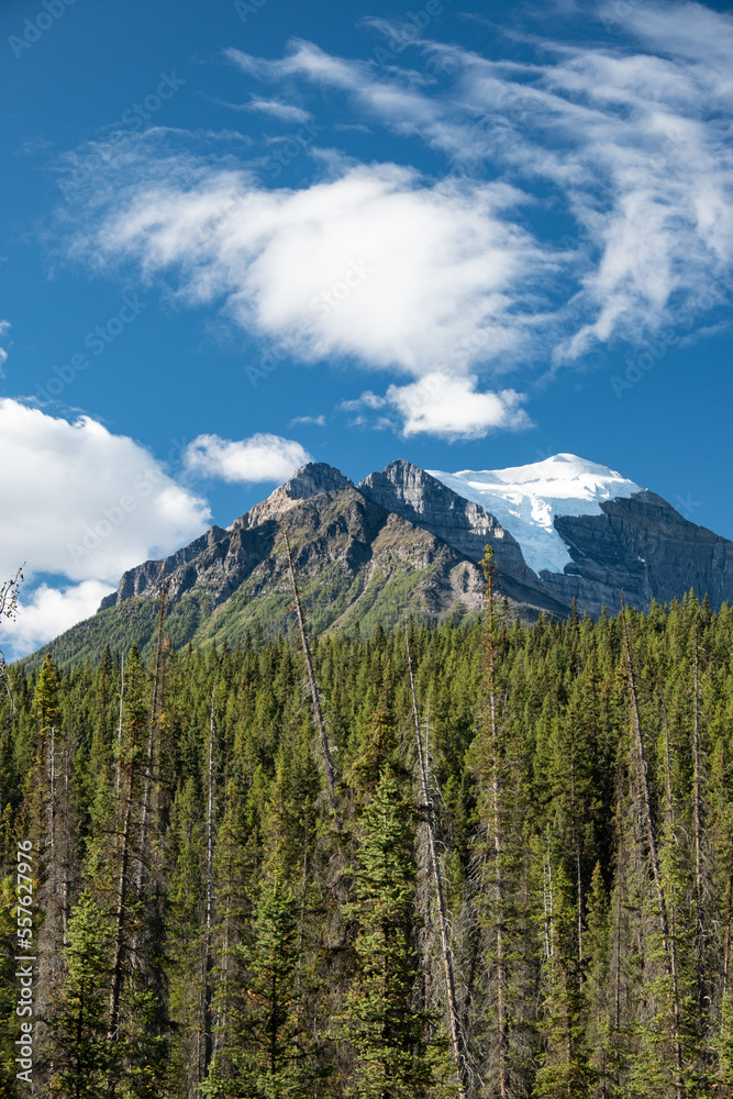 Fototapeta premium Mountain and forest in Banff NP Canada