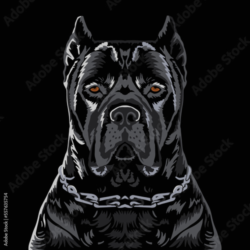 VECTORS. Black Cane Corso dog with a chain collar, flat colors and shading