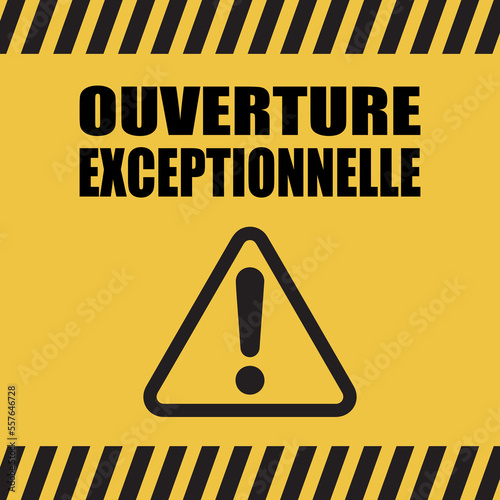 Logo ouverture exceptionnelle.