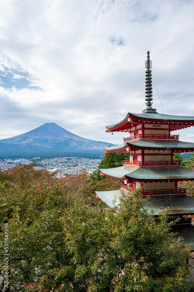 Mt Fuji and pagoda