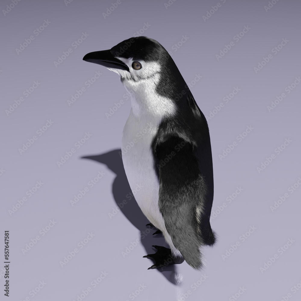 3d computer-rendered illustration of penguins. 3d computer-rendered illustration of penguins.