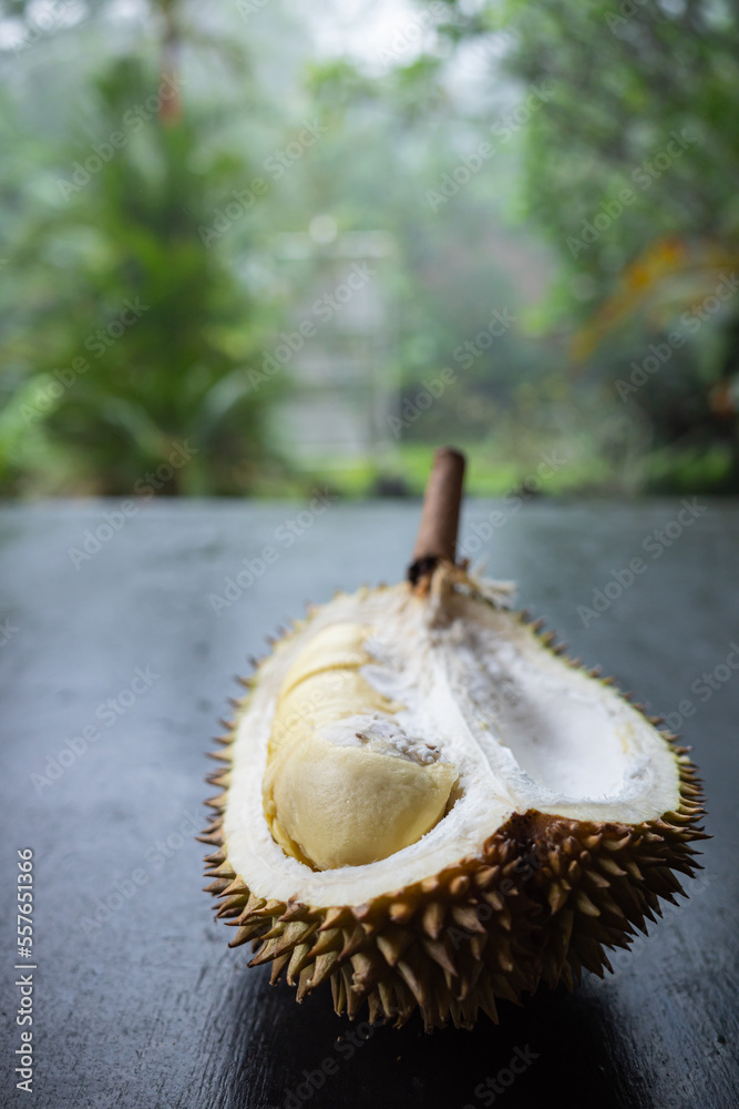 durian fruit from the city of Jepara, Indonesia durian fruit from the city of Jepara, Indonesia