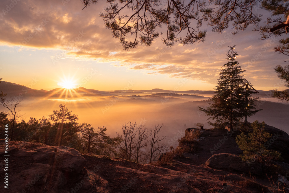 Naklejka premium Sunrise on a winter morning in the Palatinate Forest