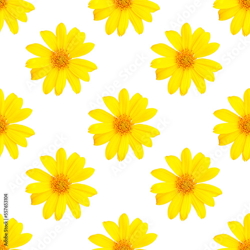 pattern of yellow flowers for summer