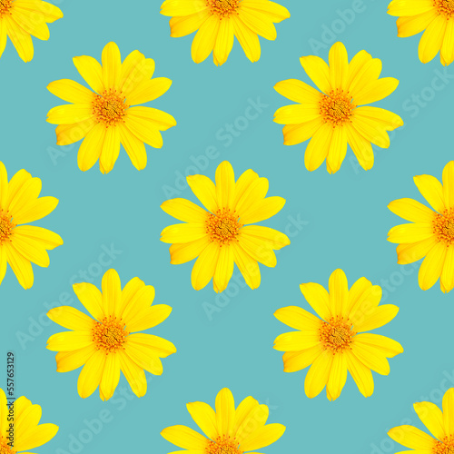 pattern of yellow flowers for summer