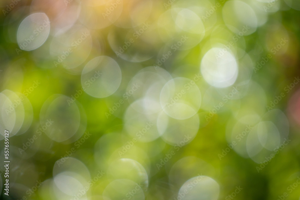Bokeh abstract. Out of focus green nature background. Bokeh abstract. Out of focus green nature background.