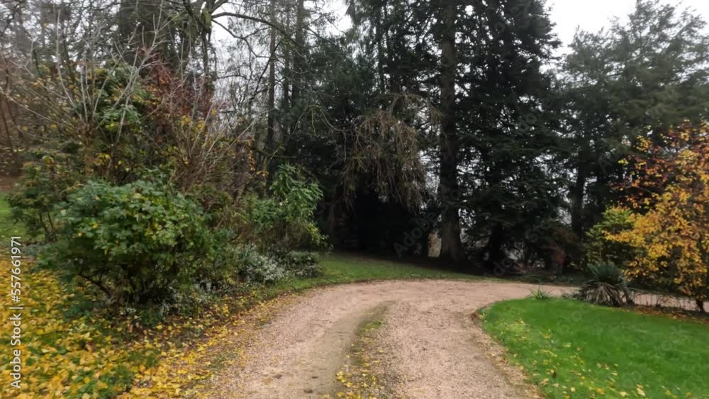 walking in a dirt path in the middle of the forest in the suburb of the city of Lyon called Montluel. Trees in fall colors against a winter sky walking in a dirt path in the middle of the forest in the suburb of the city of Lyon called Montluel. Trees in fall colors against a winter sky