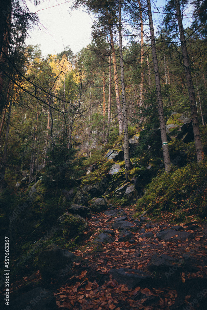 Ukrainian Carpathian Mountains During Fall Ukrainian Carpathian Mountains During Fall