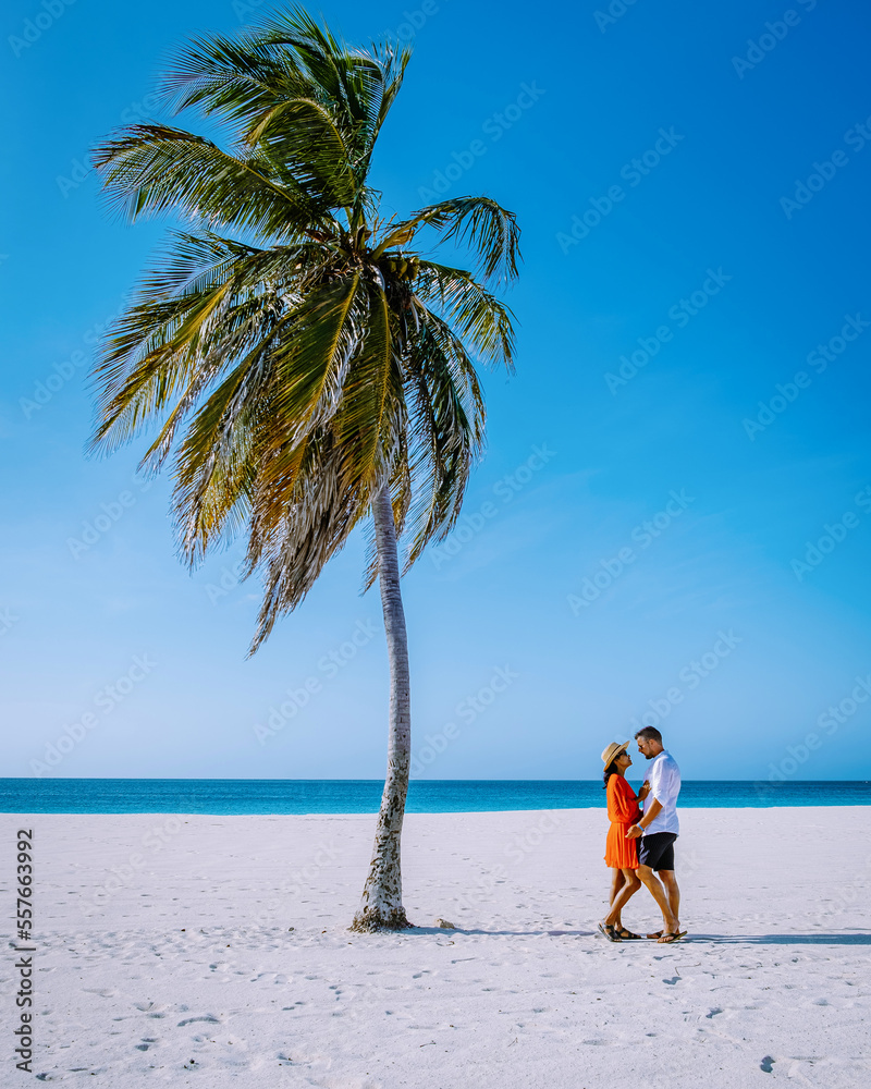 Eagle Beach Aruba, Palm Trees on the shoreline of Eagle Beach in Aruba