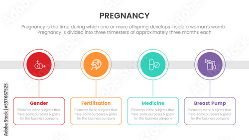 timeline of circle information for pregnant or pregnancy infographic concept for slide presentation with 4 point list