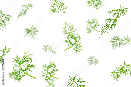 Falling dill isolated on white background