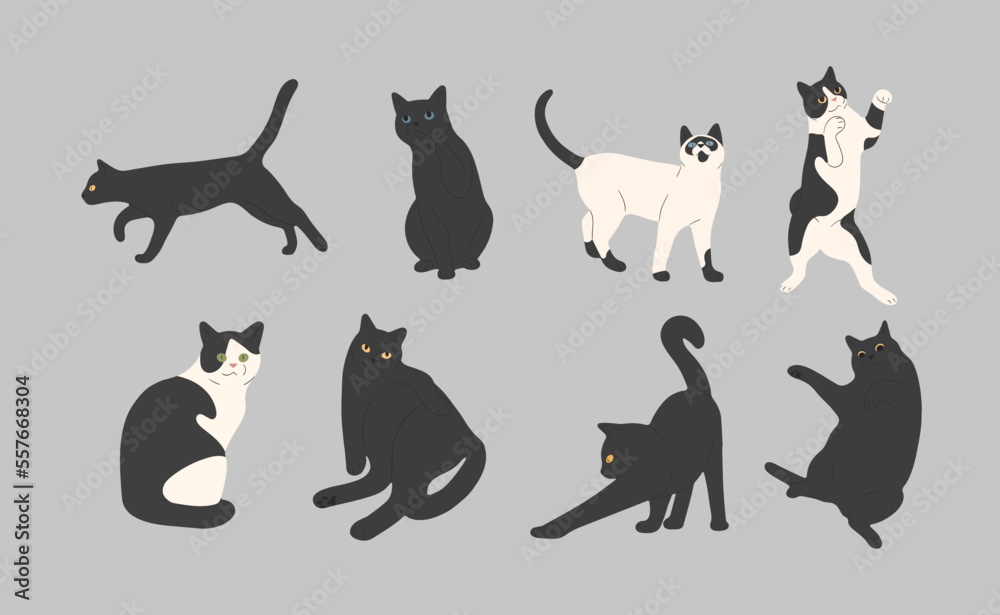 black cat cute 7 on a gray background, vector illustration.