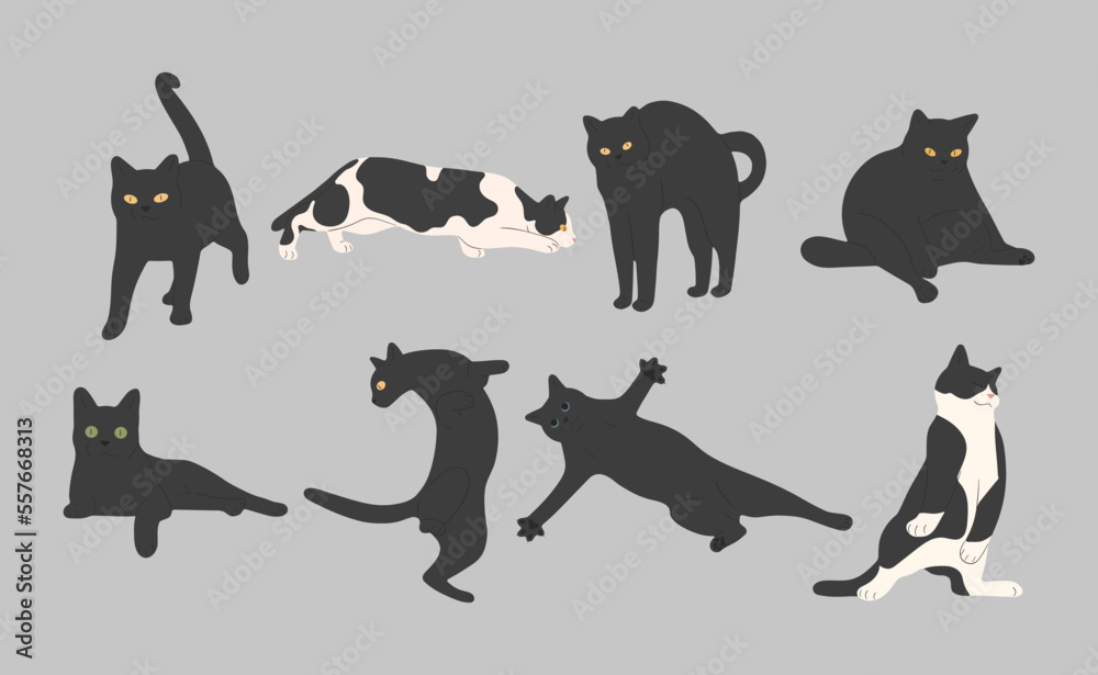black cat cute 8 on a gray background, vector illustration.
