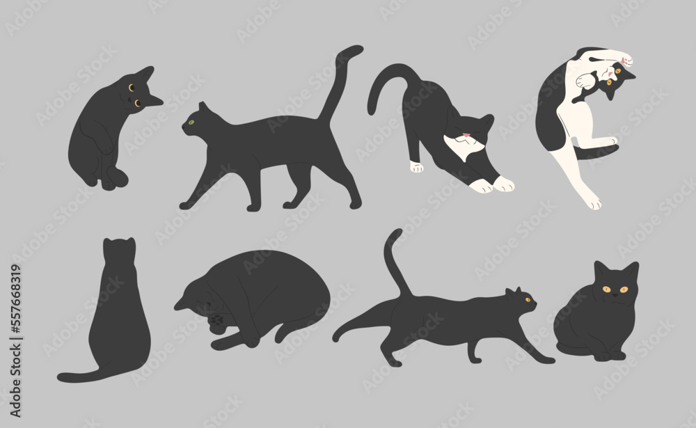 black cat cute 9 on a gray background, vector illustration.