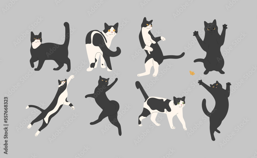black cat cute 10 on a gray background, vector illustration.