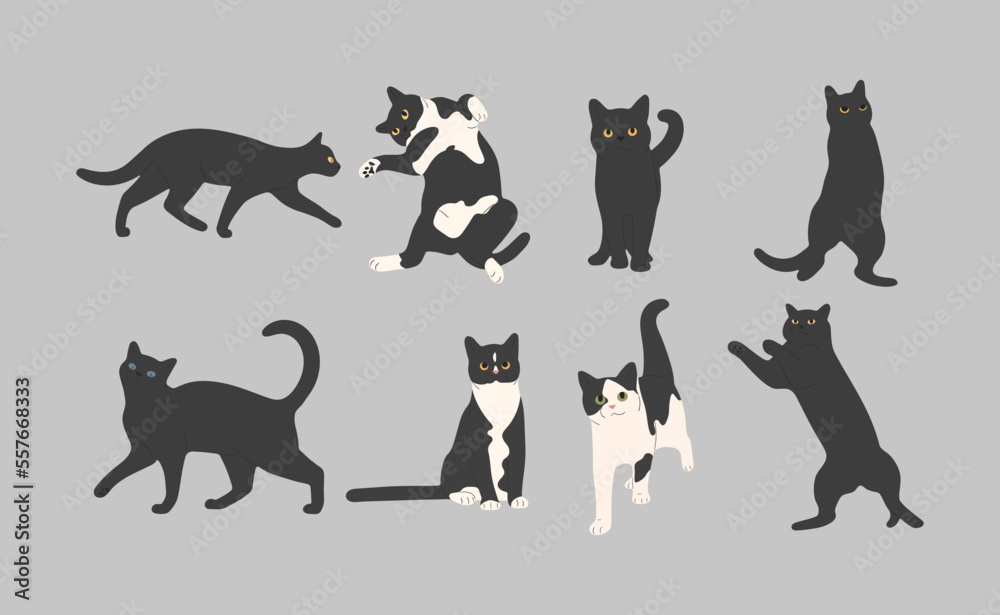 black cat cute 11 on a gray background, vector illustration.