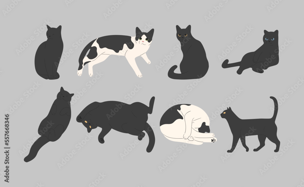 black cat cute 12 on a gray background, vector illustration.