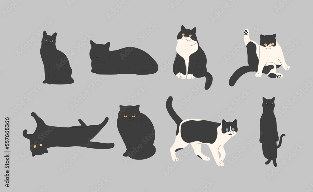 black cat cute 13 on a gray background, vector illustration.