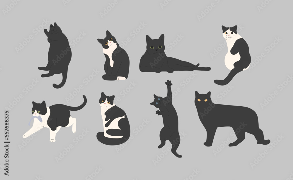 black cat cute 16 on a gray background, vector illustration. black cat cute 16 on a gray background, vector illustration.