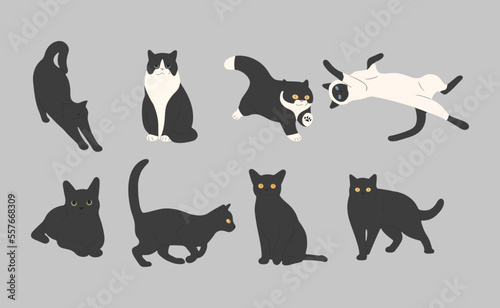 black cat cute 6 on a gray background  vector illustration.