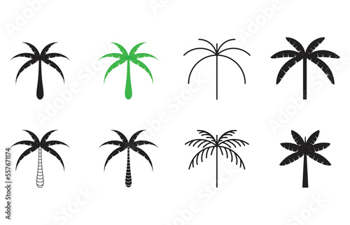 Collection of vector illustrations. coconut tree.