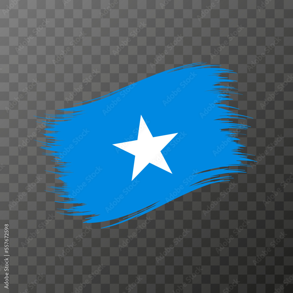 Somalia Islands national flag. Grunge brush stroke. Vector illustration on transparent background. Somalia Islands national flag. Grunge brush stroke. Vector illustration on transparent background.