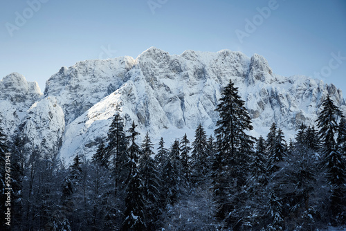 Alpi Giulie innevate  photo