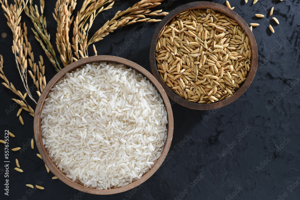 Paddy and rice in baskets placed on a black background with ears of rice.