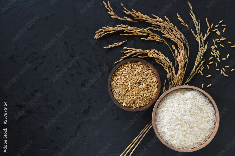 Paddy and rice in baskets placed on a black background with ears of rice.