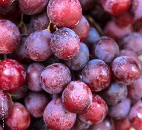 Purple grapes with blur background